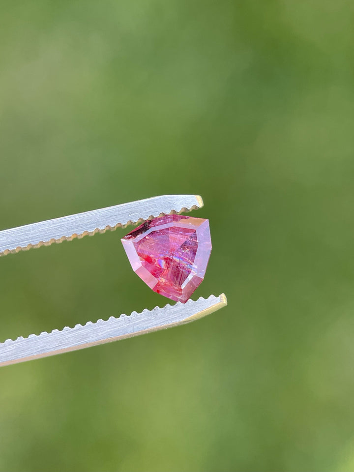 A vivid 1.10-carat trillion cut ruby held in tweezers outdoors, glowing with red and purple reflections. Sourced from Umba River, Tanzania.