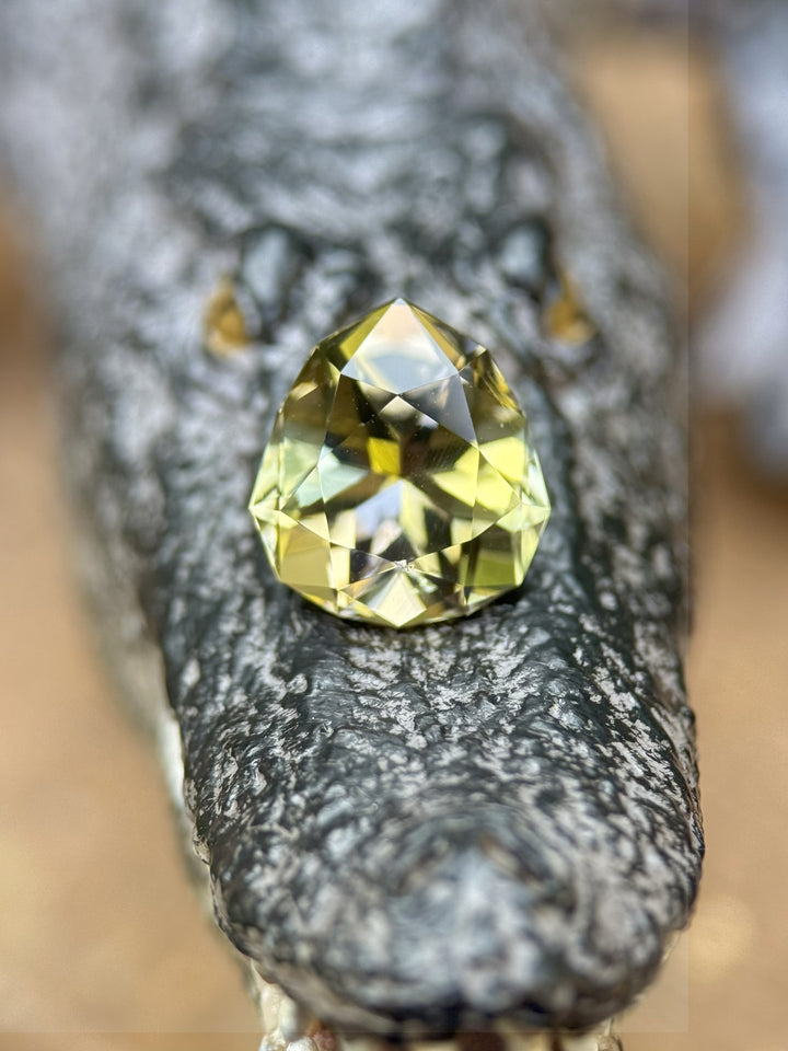 3.25-carat untreated Tanzanite with golden yellow and lavender hues resting on a crocodile sculpture. Custom geometric pear cut, ethically sourced from Merelani Hills, Tanzania.