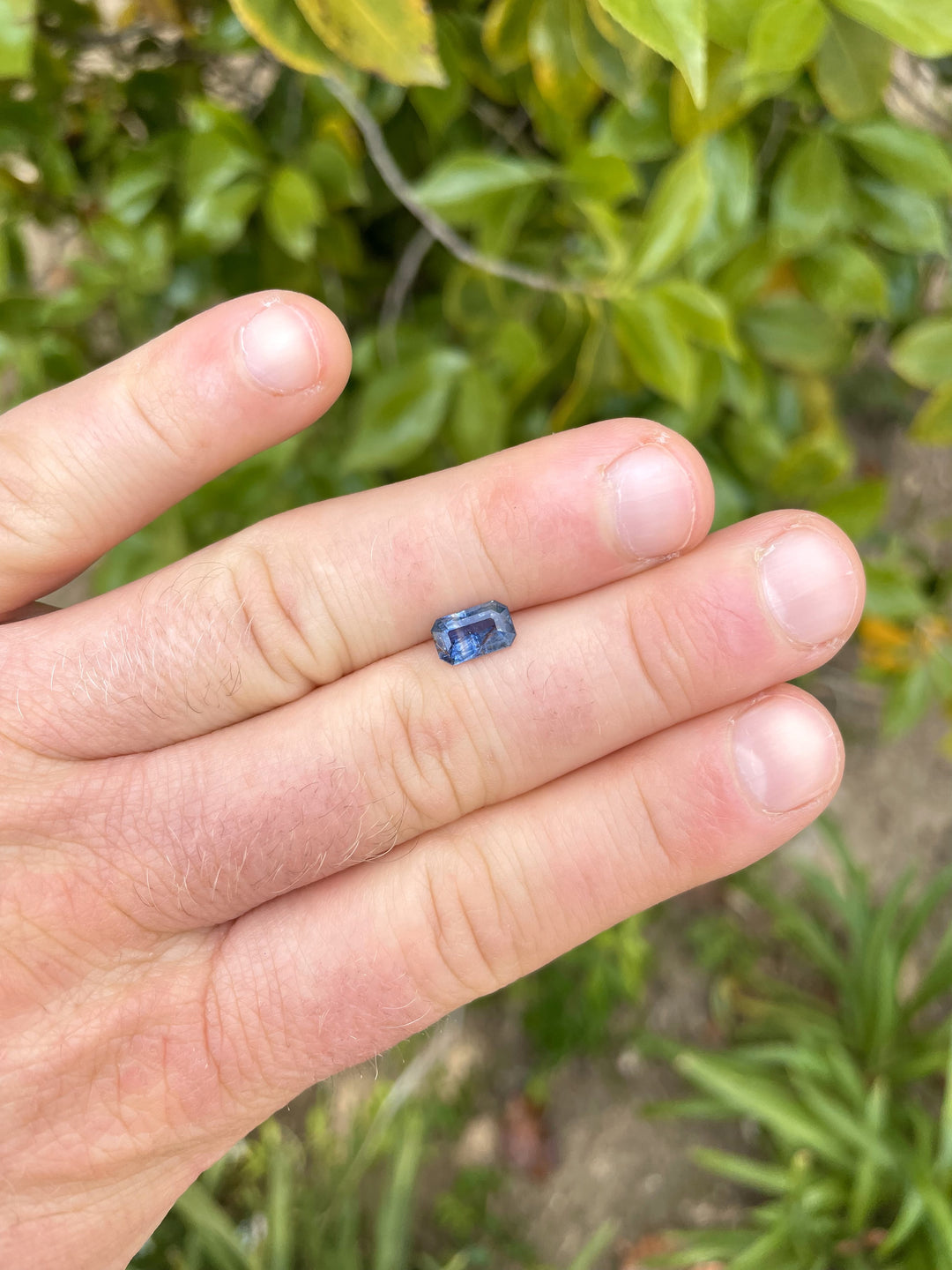 A 1.45-carat sapphire with teal and blue parti colors in a modified emerald cut, displayed on a finger with a lush green background.