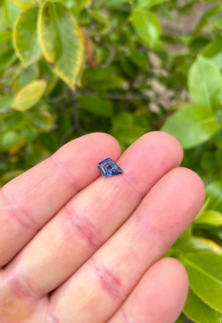 Vivid teal, purple, and blue parti sapphire, 1.37 carats, custom step cut kite portrait, delicately held in fingers against a lush green background.