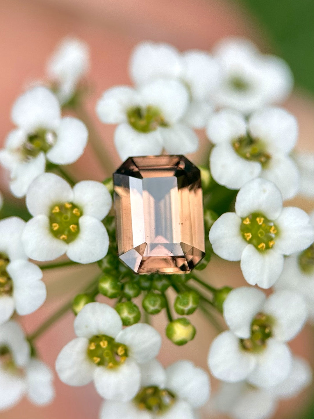 Peach-pink octagonal step cut sapphire surrounded by white flowers, highlighting the gem’s brilliance.