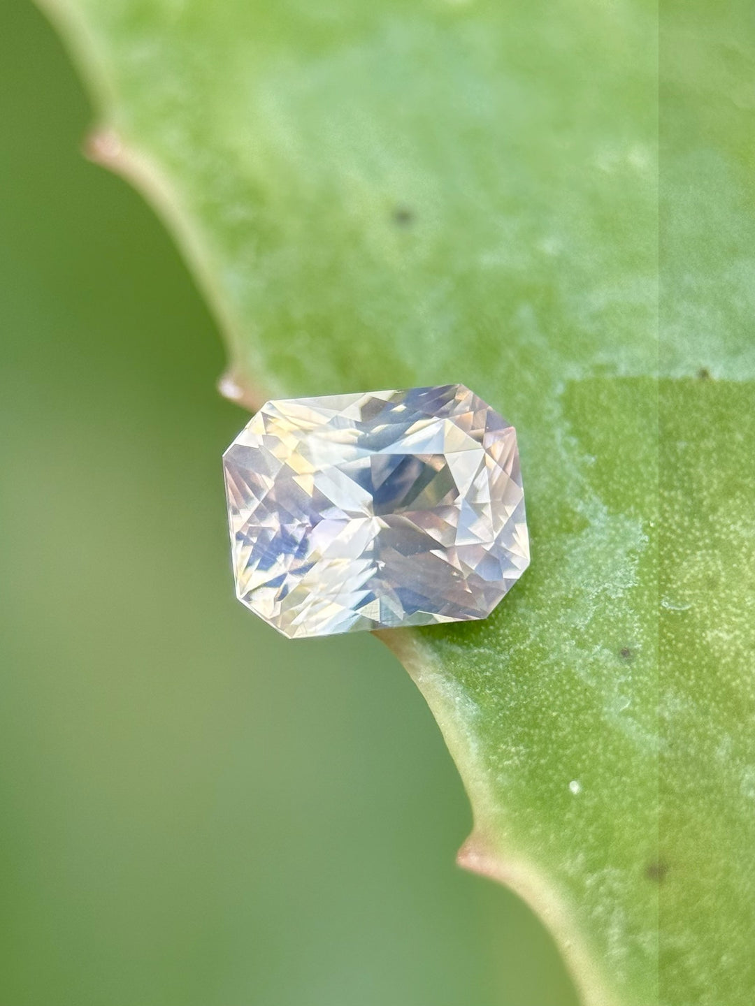 Natural unheated 1.18-carat sapphire with violet and lavender flashes displayed on a green leaf background – Mix Brilliant Oval from Ratnapura