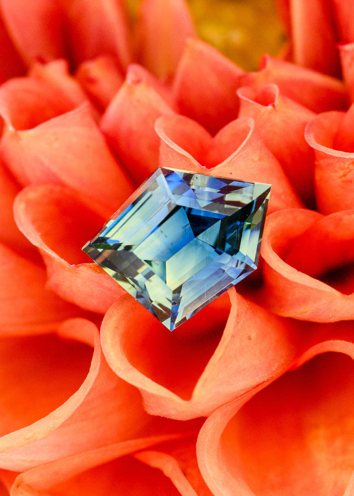 Untreated 1.70 carat parti sapphire resting among vivid orange flower petals, showing its asymmetrical geometric shape and layered blue, teal, green and yellow color zoning.