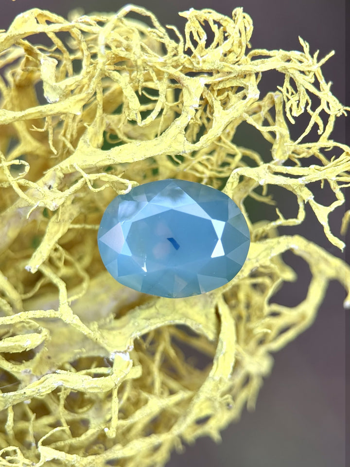 Gombe-origin teal opalescent sapphire nestled in yellow moss, highlighting the gem’s rich color and custom brilliant oval shape.