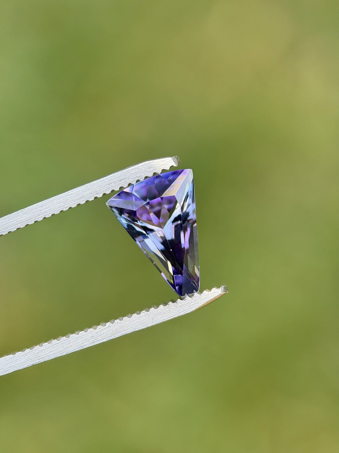 Custom fan cut Tanzanite gemstone with teal and purple hues held by gem tweezers against soft green background