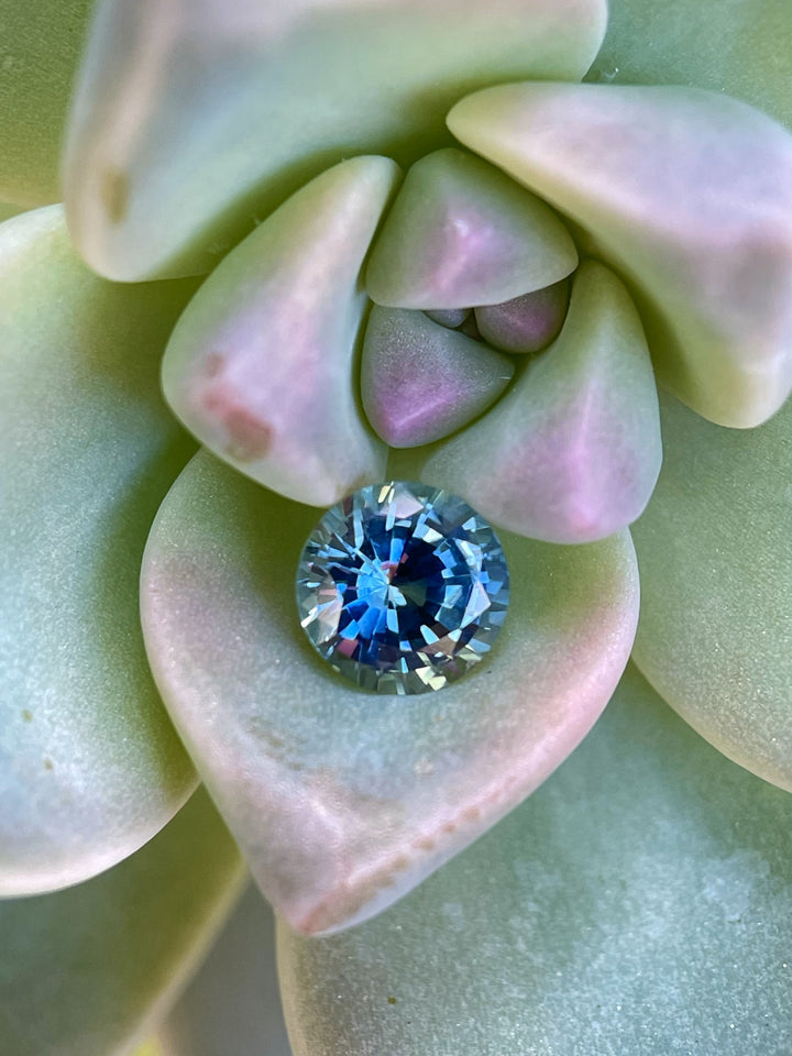 A 1.08-carat natural round brilliant sapphire resting on a pastel-toned succulent, displaying its rich blue-green coloration and radiant cut.