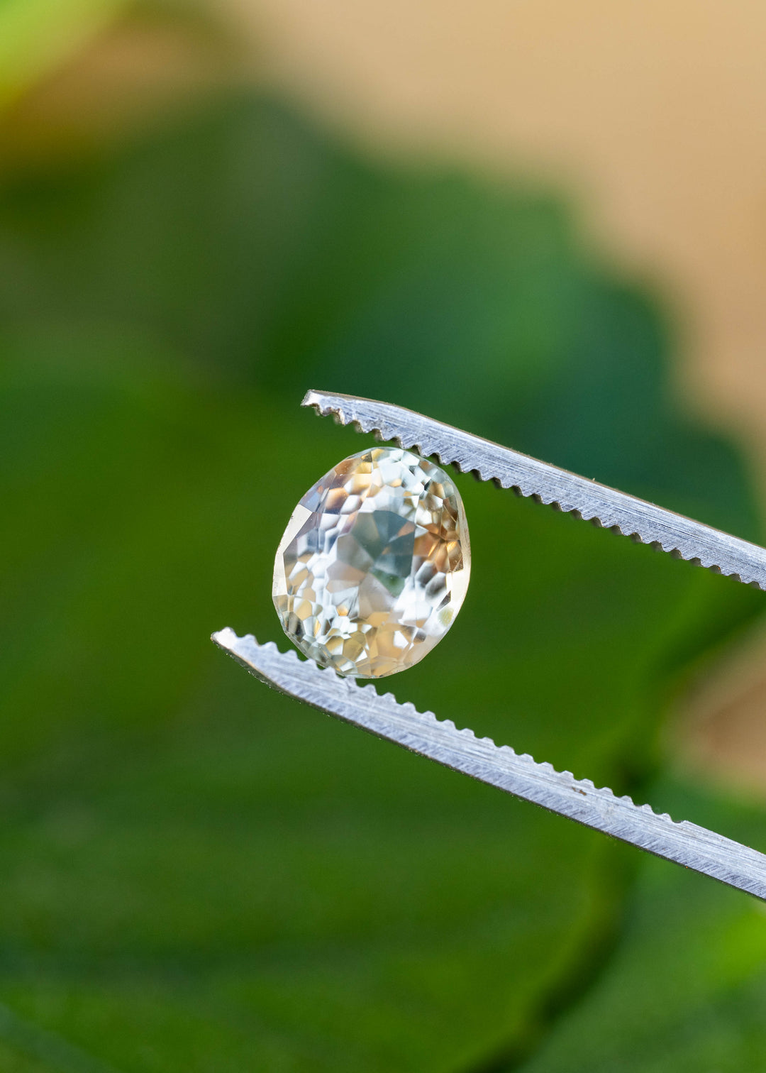 Untreated butter yellow tourmaline held between jeweler’s tweezers, displaying its softly irregular vintage oval outline and bright cream, champagne and golden facets.