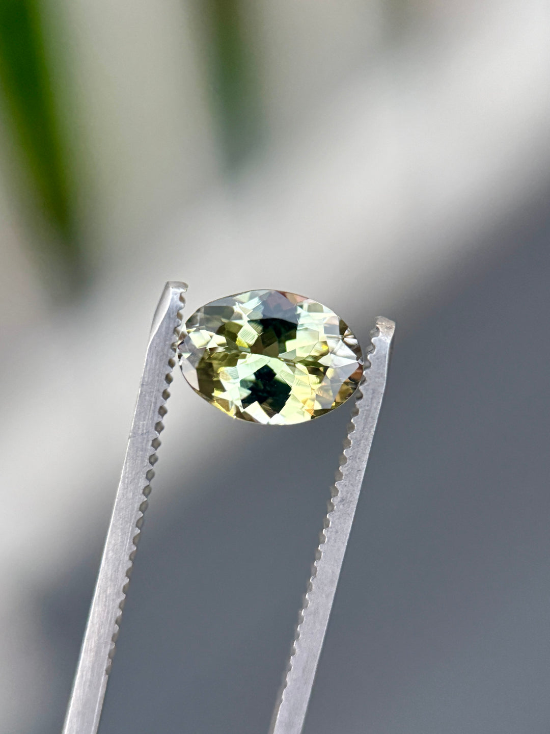 Close-up of 1.98-carat yellow, teal, and green Tanzanite held in tweezers, highlighting the brilliance of the untreated custom mix oval cut gemstone from Merelani Hills, Tanzania.