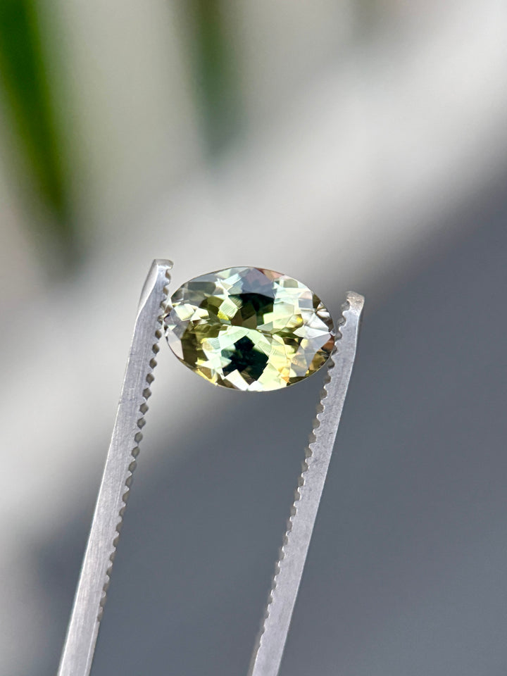 Close-up of 1.98-carat yellow, teal, and green Tanzanite held in tweezers, highlighting the brilliance of the untreated custom mix oval cut gemstone from Merelani Hills, Tanzania.