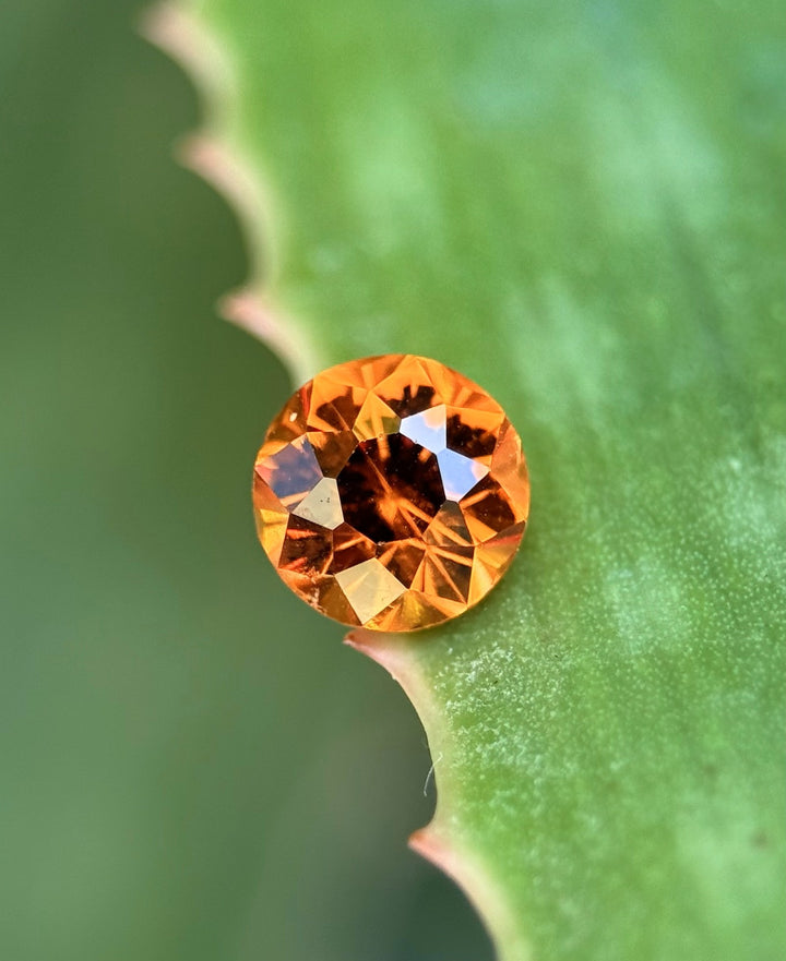 Hessonite garnet placed on a green aloe leaf edge highlighting natural earthy tones