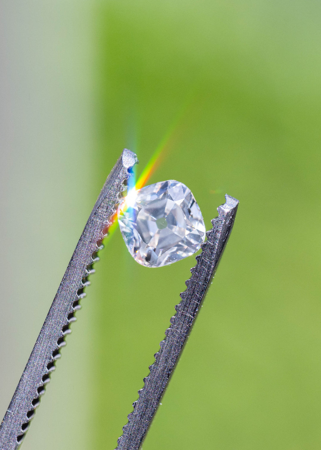 White antique-style cushion diamond held in jeweler's tweezers with sunlight creating colorful dispersion and highlighting its symmetrical Old Mine inspired faceting