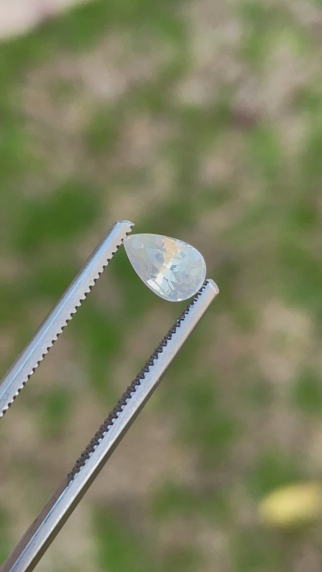 1.05-carat unheated Sri Lankan yellow sapphire being held in tweezers, capturing its brilliance under changing angles.