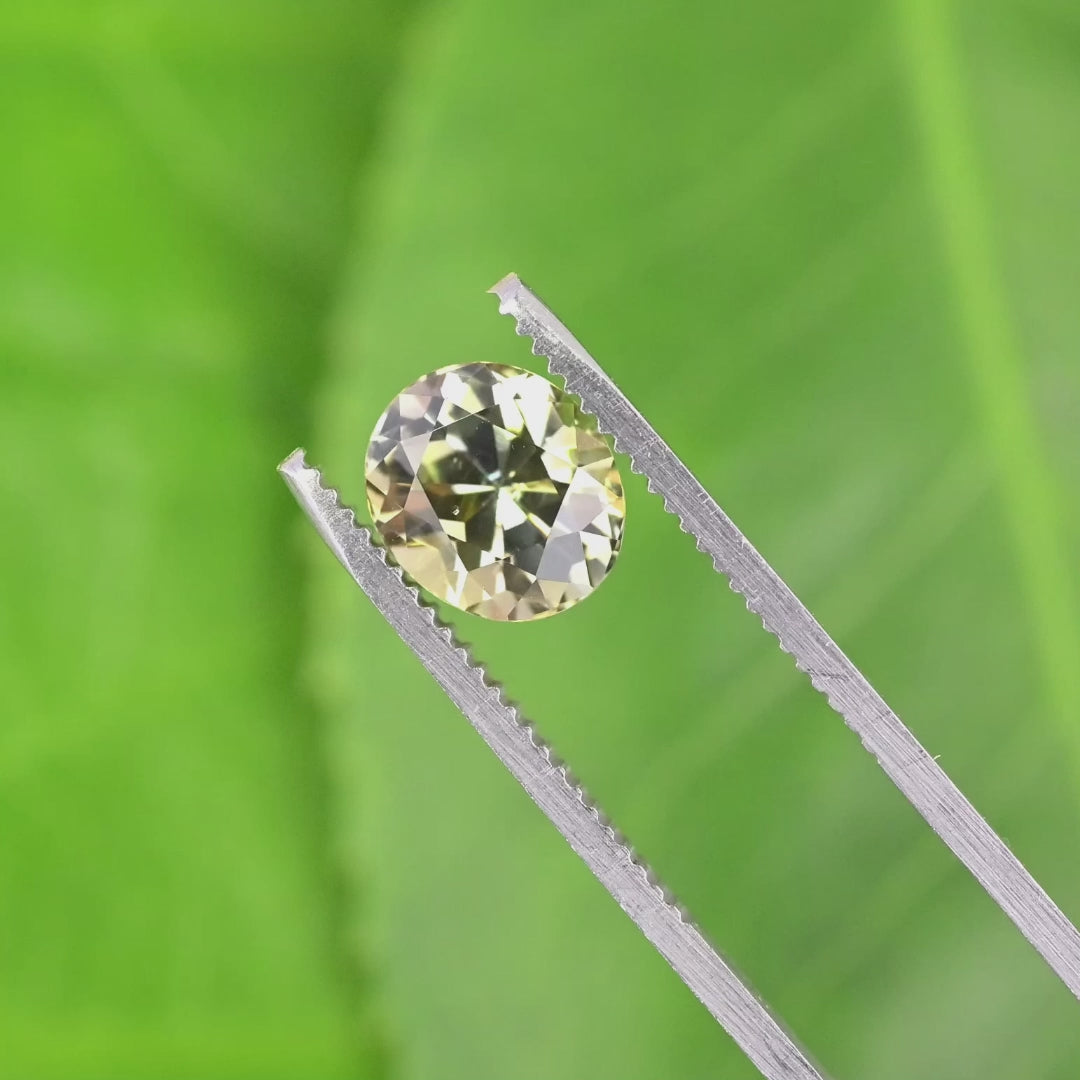 Close-up video of 3.05ct green champagne Tanzanite oval held in tweezers, custom brilliant cut gemstone from Tanzania displaying clarity and sparkle
