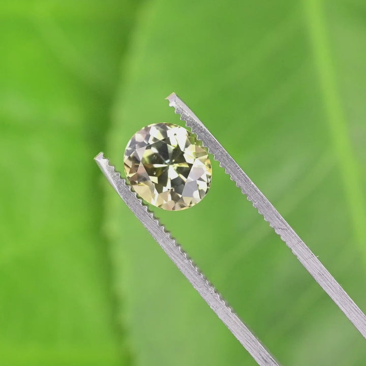 Close-up video of 3.05ct green champagne Tanzanite oval held in tweezers, custom brilliant cut gemstone from Tanzania displaying clarity and sparkle