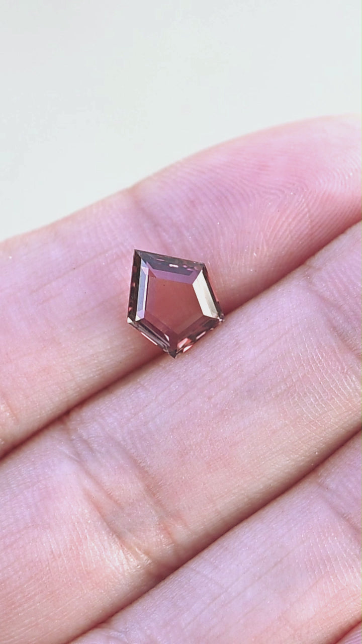 Deep wine brown 2.03ct shield portrait cut sapphire rotating on fingertips under natural light.