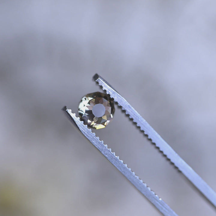 Rotating 1.04 carat Mughal cut diamond with champagne fancy yellow brown color and strong blue fluorescence in tweezers