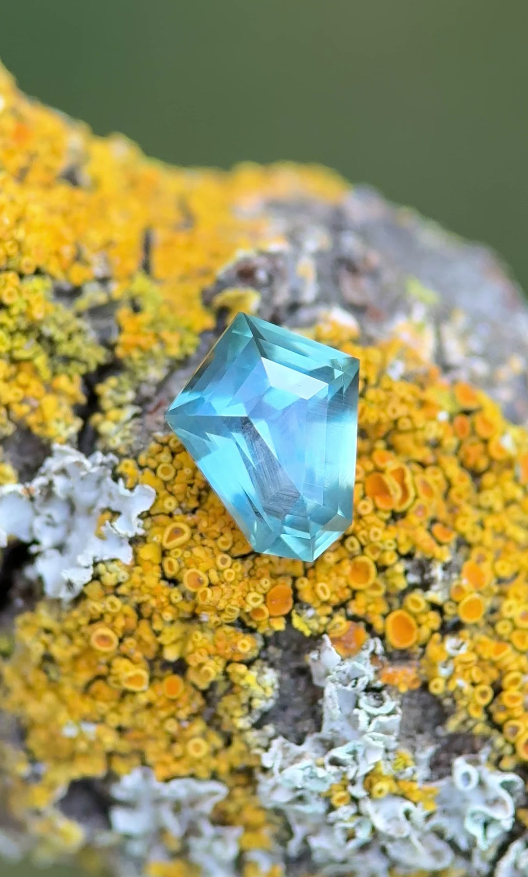 360-degree video of a 1.14 carat Montana sapphire in a custom step cut shield shape, showing its teal, green, and bluish hues while resting on vibrant lichen for a rustic outdoor backdrop.