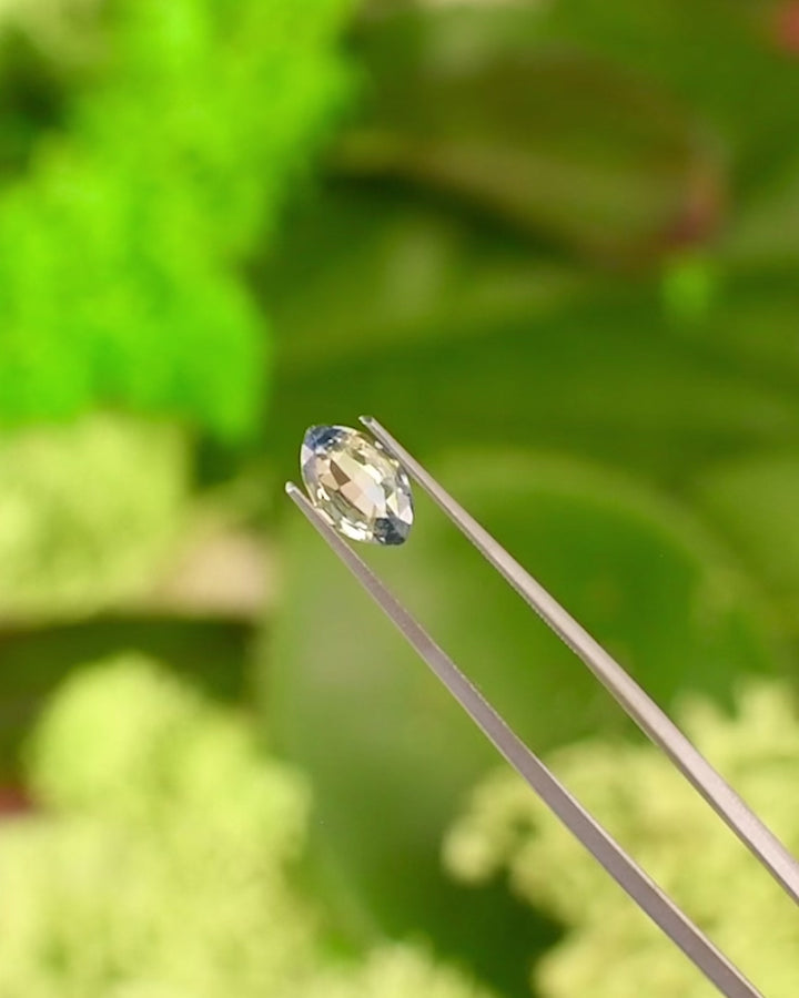 Video of 1.58 carat parti sapphire held in gemstone tweezers, showing the vibrant blend of yellow and blue hues across a precision marquise mixed cut, natural and untreated from Sakaraha, Madagascar.