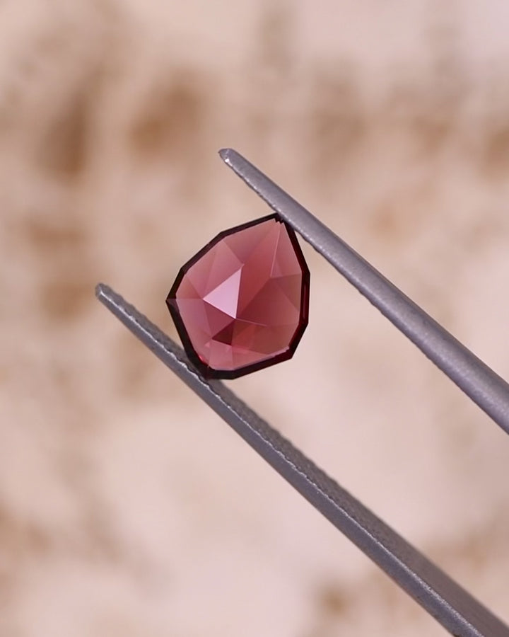 Video of 1.66CT red and orange garnet rotating in gemstone tweezers under sunlight, showcasing fiery hues, internal clarity, and sparkle of the custom geometric rose cut shield, untreated garnet from Kenya.
