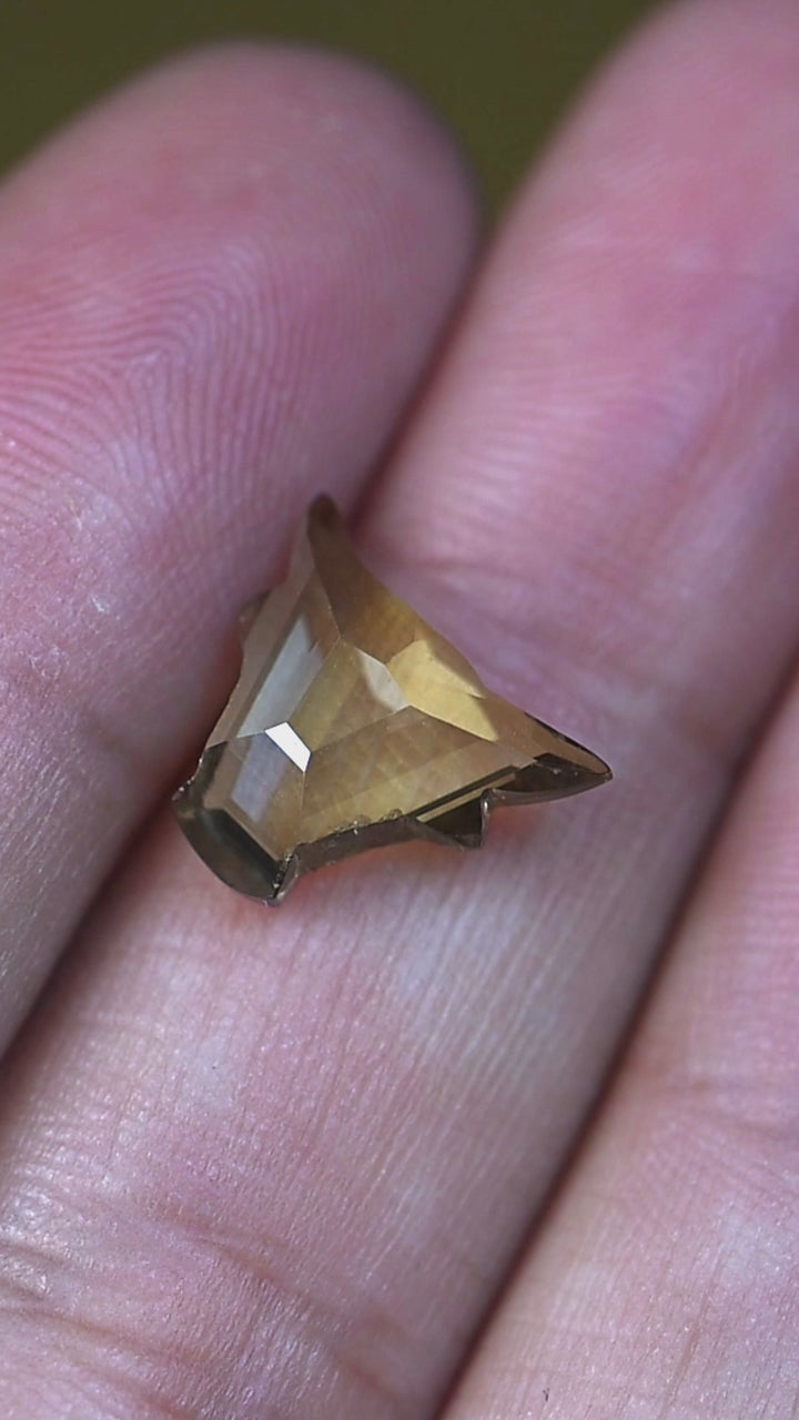 Rotating 3.78 carat untreated green and yellow Tanzanite on hand showing natural color shifts and the custom El Toro cut.