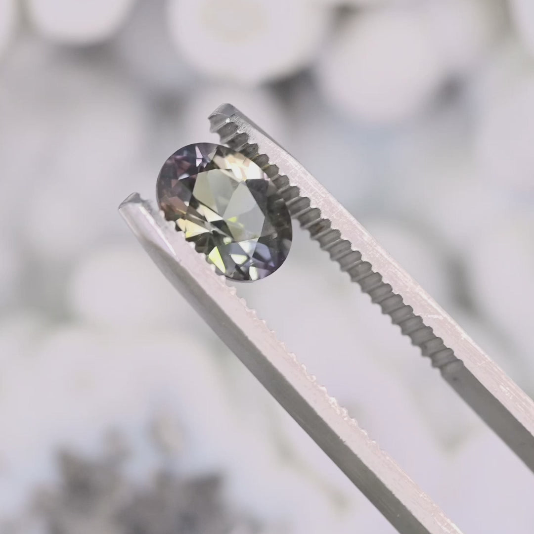 Close-up video of 1.69ct blue purple yellow Tanzanite oval held in tweezers, precision faceted gemstone from Tanzania displaying brilliance, clarity and vibrant multicolor tones