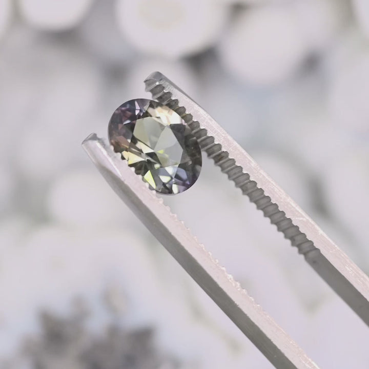 Close-up video of 1.69ct blue purple yellow Tanzanite oval held in tweezers, precision faceted gemstone from Tanzania displaying brilliance, clarity and vibrant multicolor tones