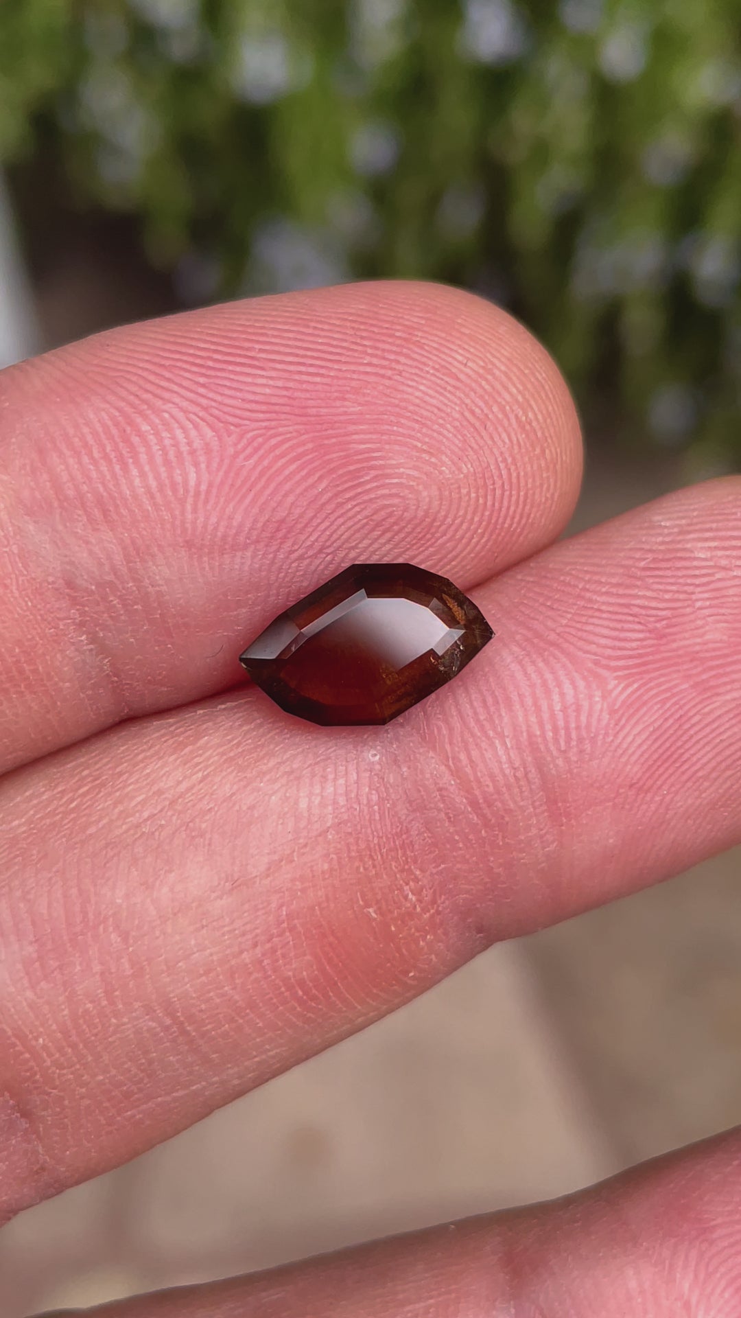 A 360-degree view of a 3.78-carat earthy brown cognac sapphire with a custom leaf portrait cut. The video showcases the gem's natural brilliance and earthy tones as it rotates. The sapphire is untreated, sourced from the Umba River, Tanzania, and measures 12.76mm by 4.78mm by 3.80mm.