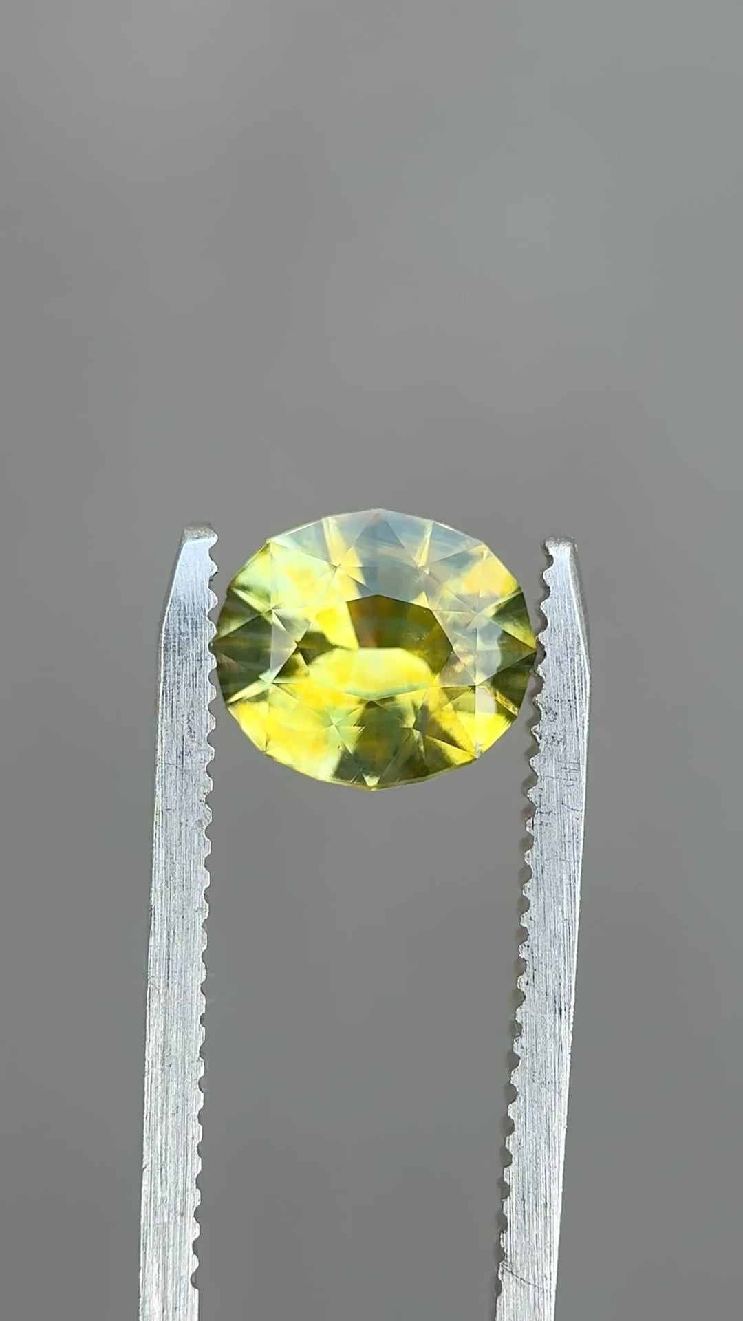 Madagascar parti sapphire turning in tweezers, showcasing natural color zoning and lively brilliance in changing light.