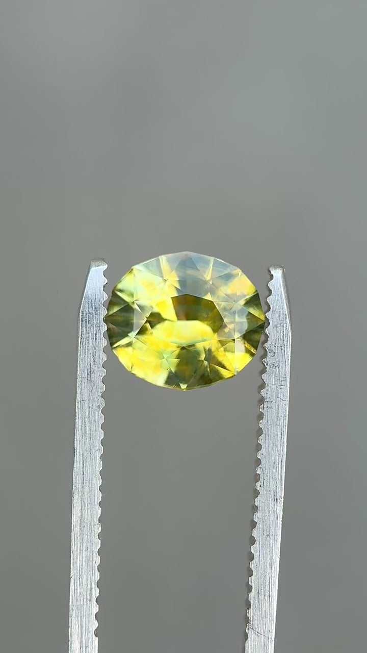Madagascar parti sapphire turning in tweezers, showcasing natural color zoning and lively brilliance in changing light.
