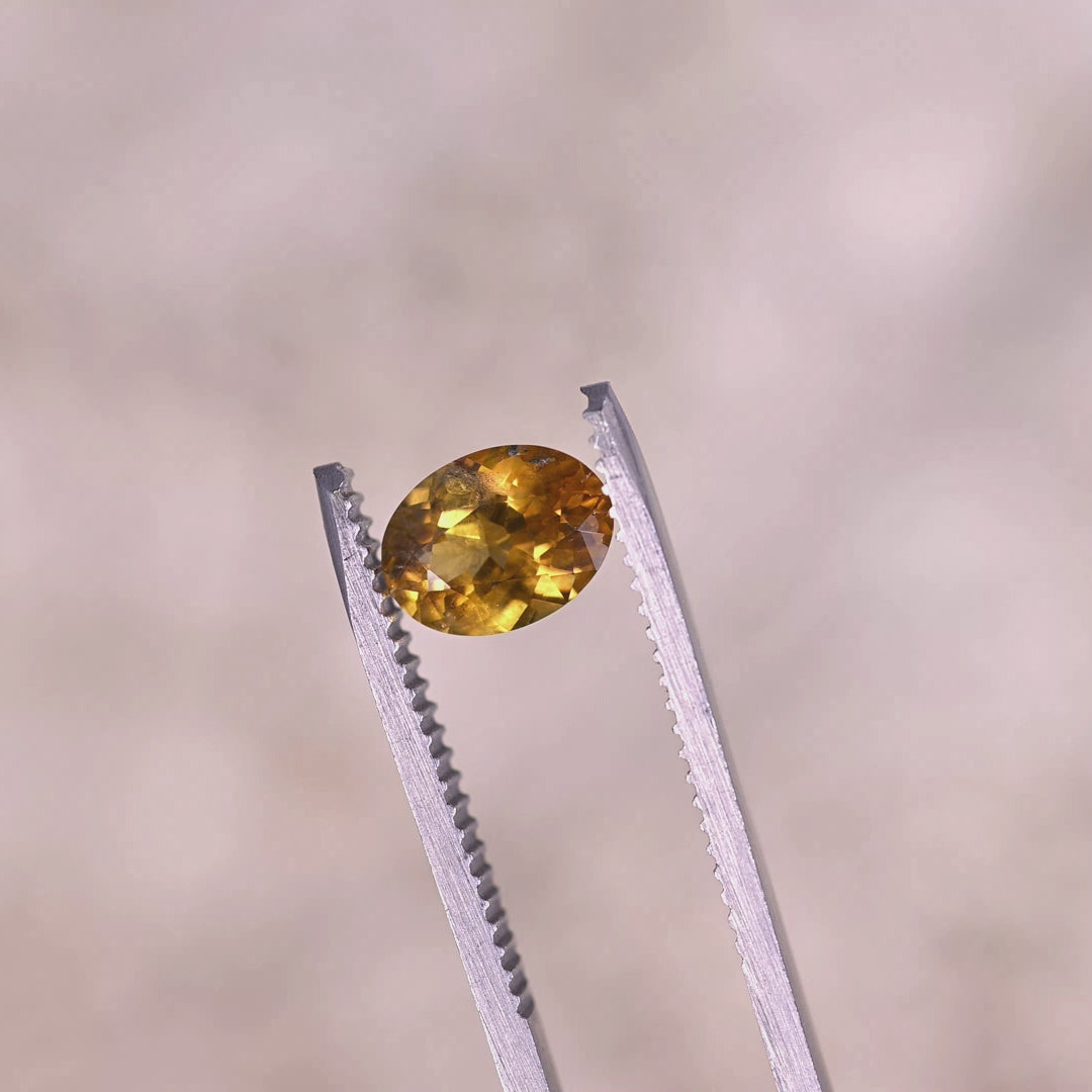 Video of 1.56ct yellow orange Montana sapphire rotating in tweezers showing heated oval mix cut facets and bright golden orange sparkle from El Dorado Bar Deposit