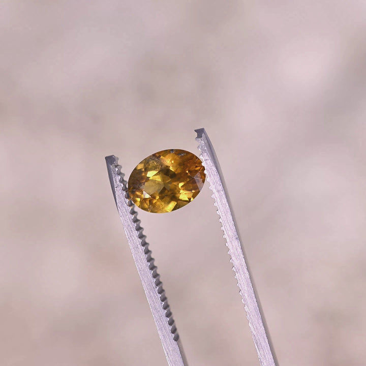 Video of 1.56ct yellow orange Montana sapphire rotating in tweezers showing heated oval mix cut facets and bright golden orange sparkle from El Dorado Bar Deposit