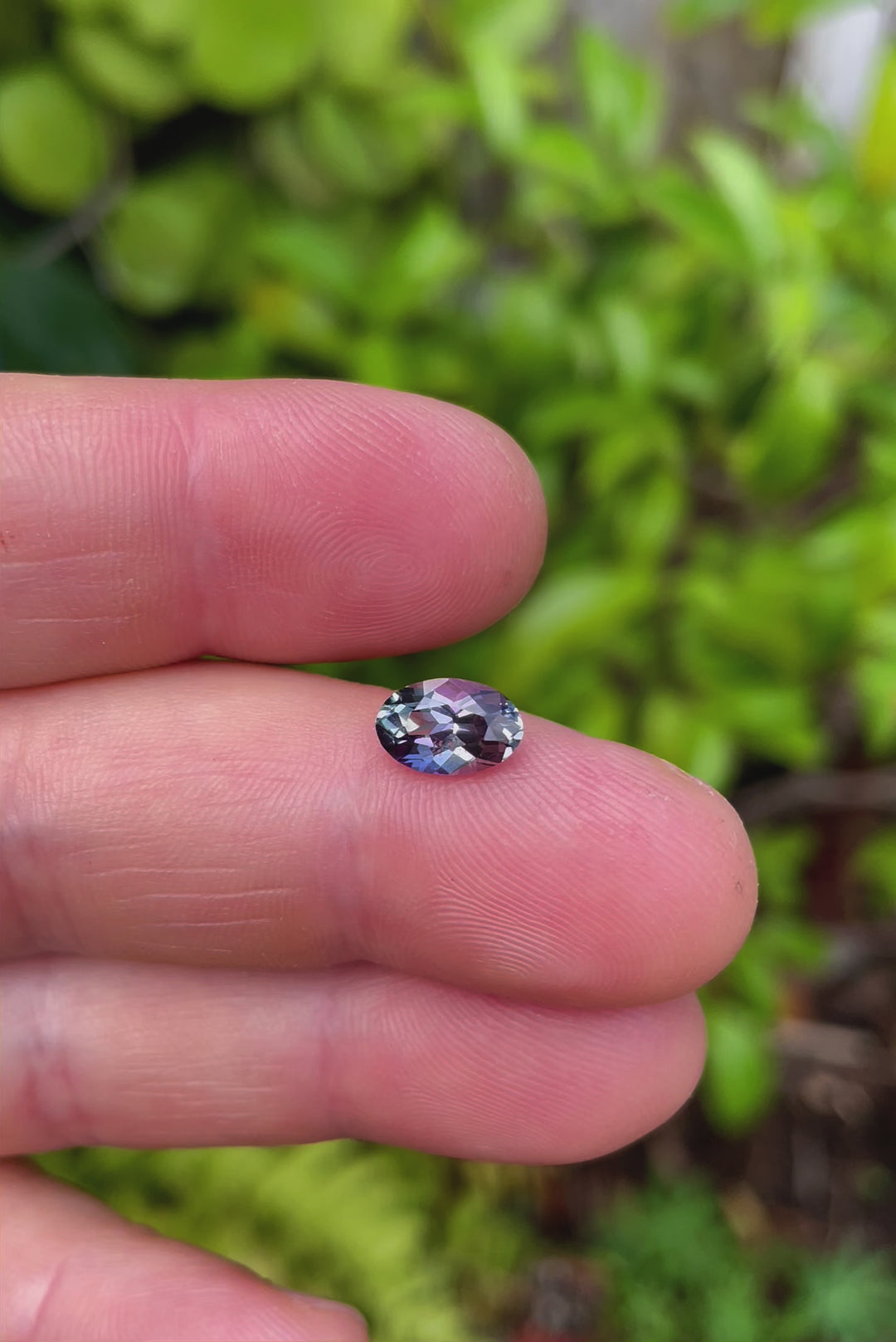Showcase video of a 1.50 carat Tanzanite, expertly captured as it gleams with a mix of green, teal, and purple hues. Originating from the Merelani Hills in Tanzania, this custom mix cut oval gemstone is displayed in a detailed rotation, emphasizing its natural, untreated characteristics and the vibrant interplay of colors.