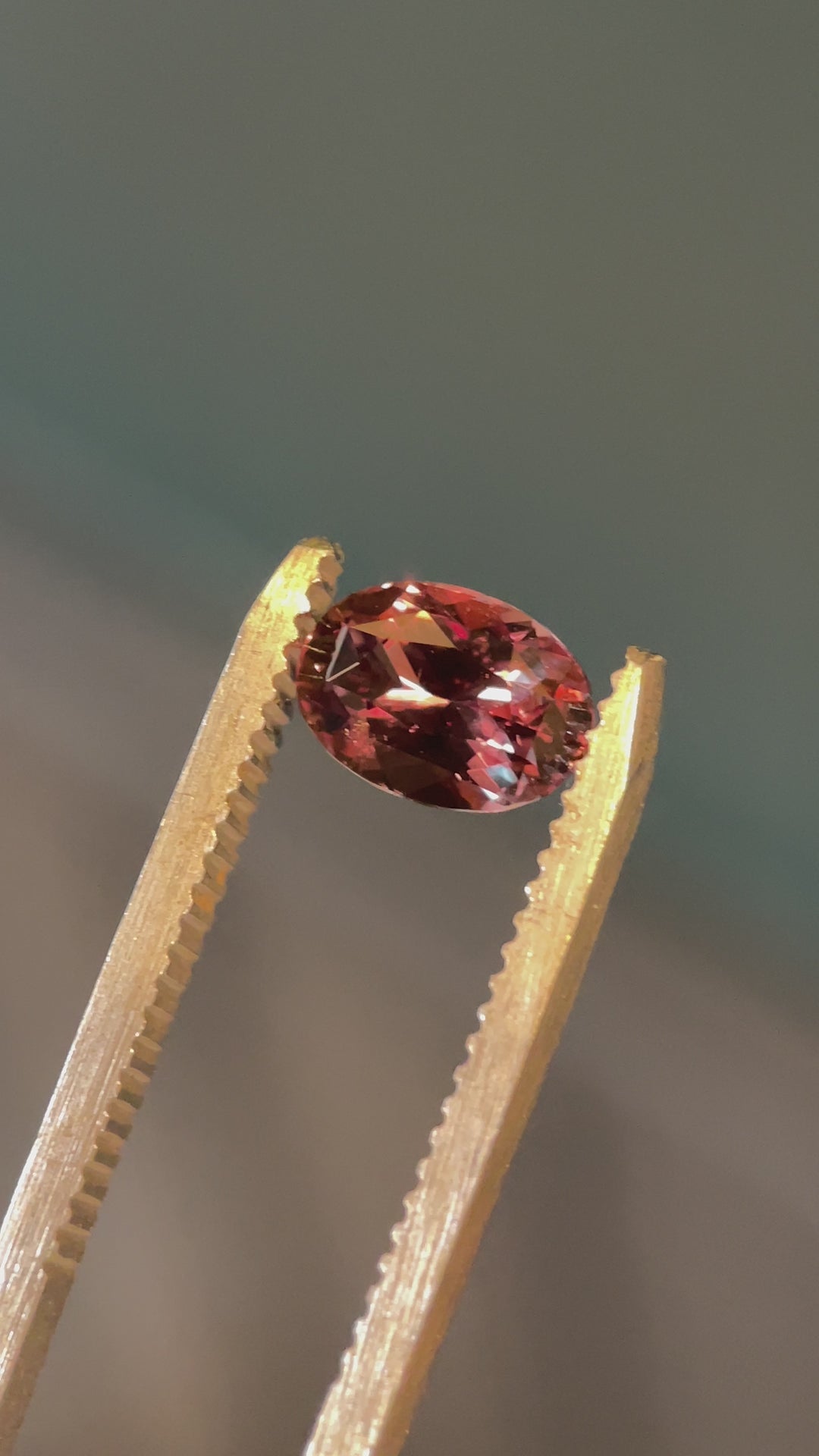 Video showcasing a 1.68-carat color-change sapphire, capturing the shift between purplish pink and brownish pink under different lighting conditions.