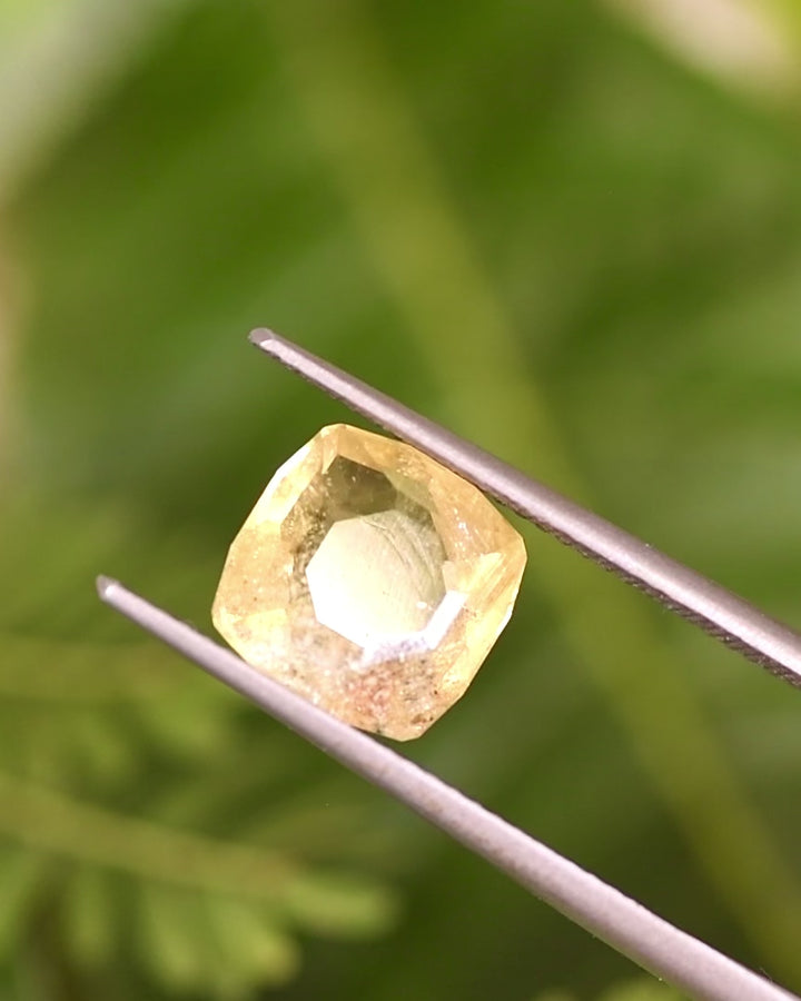 Video of 3.10CT green yellow sapphire rotating in tweezers under natural sunlight, displaying internal clarity and color transitions through its custom cushion cut, unheated gemstone from Umba River, Tanzania.