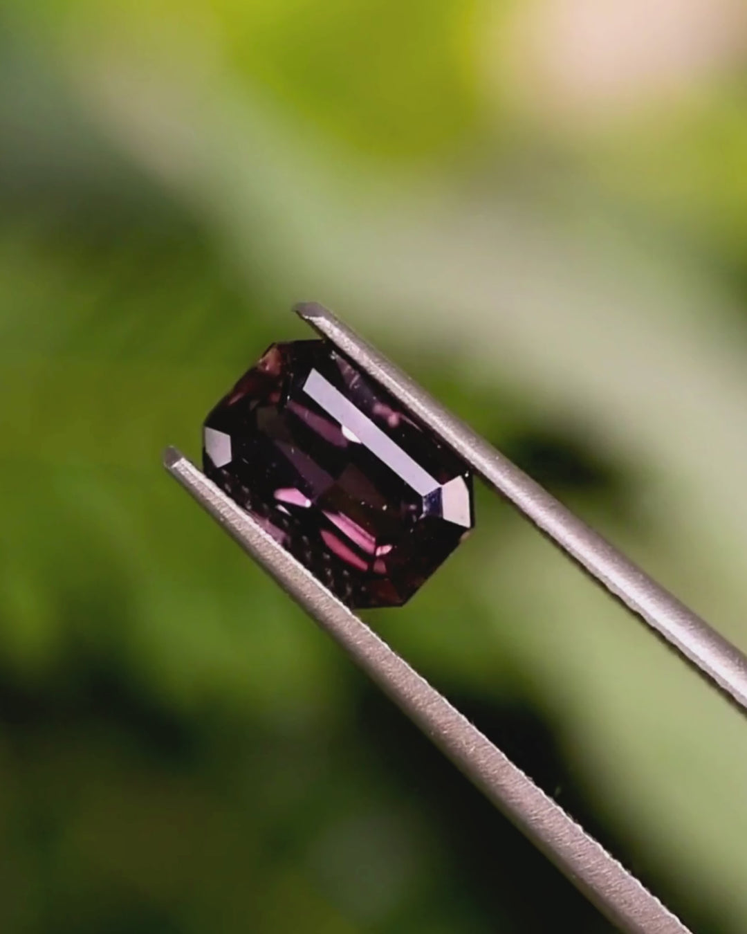 Macro video of 1.70 carat violet brown purple sapphire held in tweezers, rotating under natural light to show the brilliance, step facets, and fine craftsmanship of the modified emerald cut, unheated sapphire from Umba River Valley, Tanzania.
