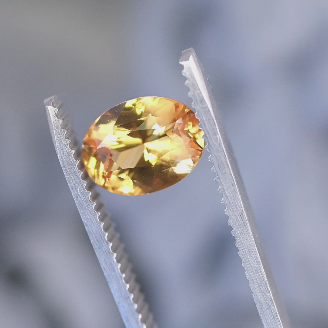 Rotating video of a 2.53ct orange yellow sapphire oval cut in tweezers, showing heated color enhancement, sparkle, and mixed brilliant faceting from Sri Lanka