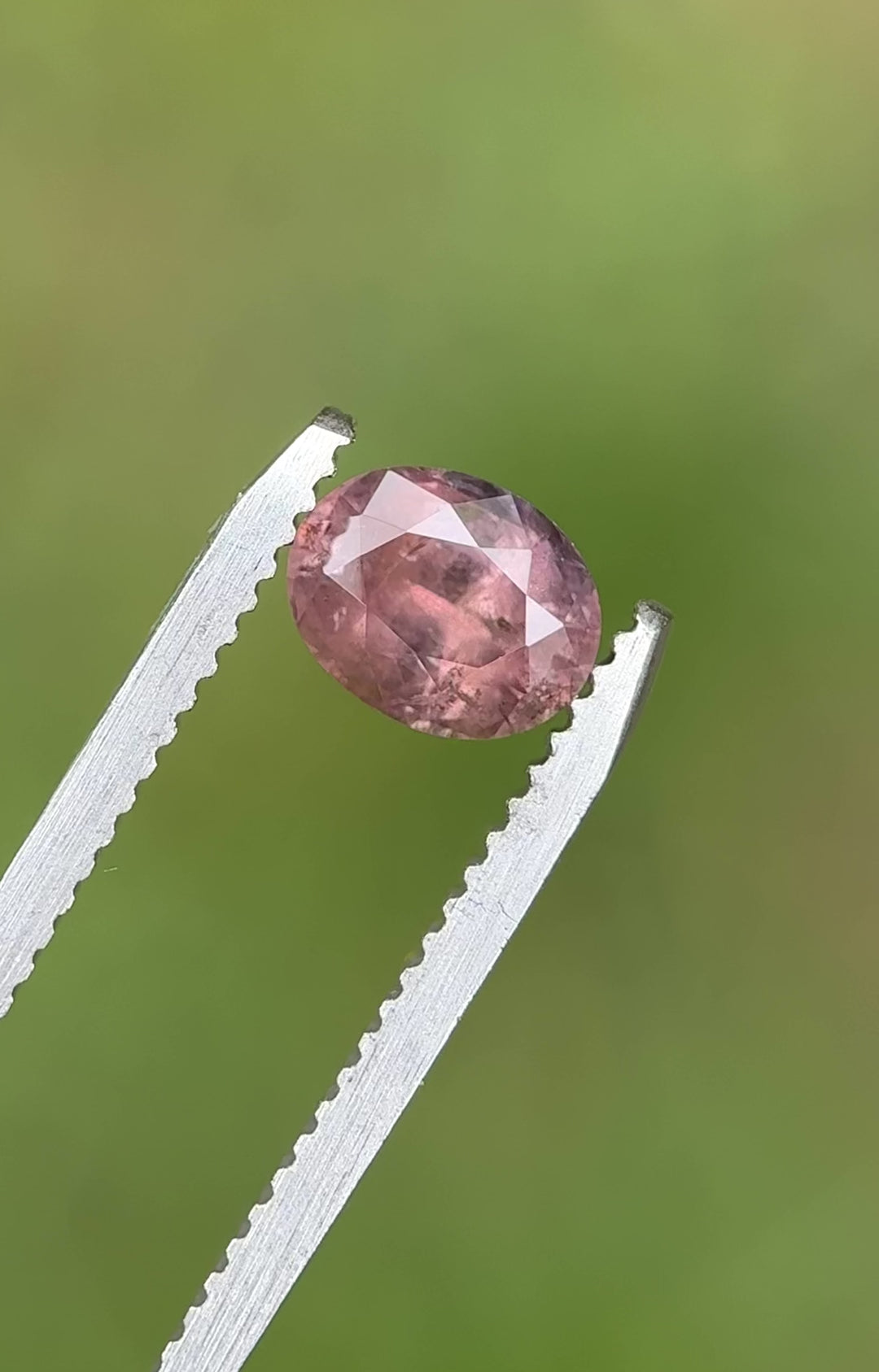 Rotating view of the oval-cut 1.37ct sapphire in tweezers, highlighting its untreated origin and precision cut