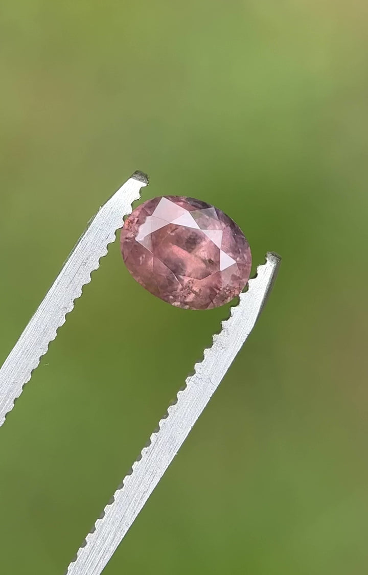 Rotating view of the oval-cut 1.37ct sapphire in tweezers, highlighting its untreated origin and precision cut
