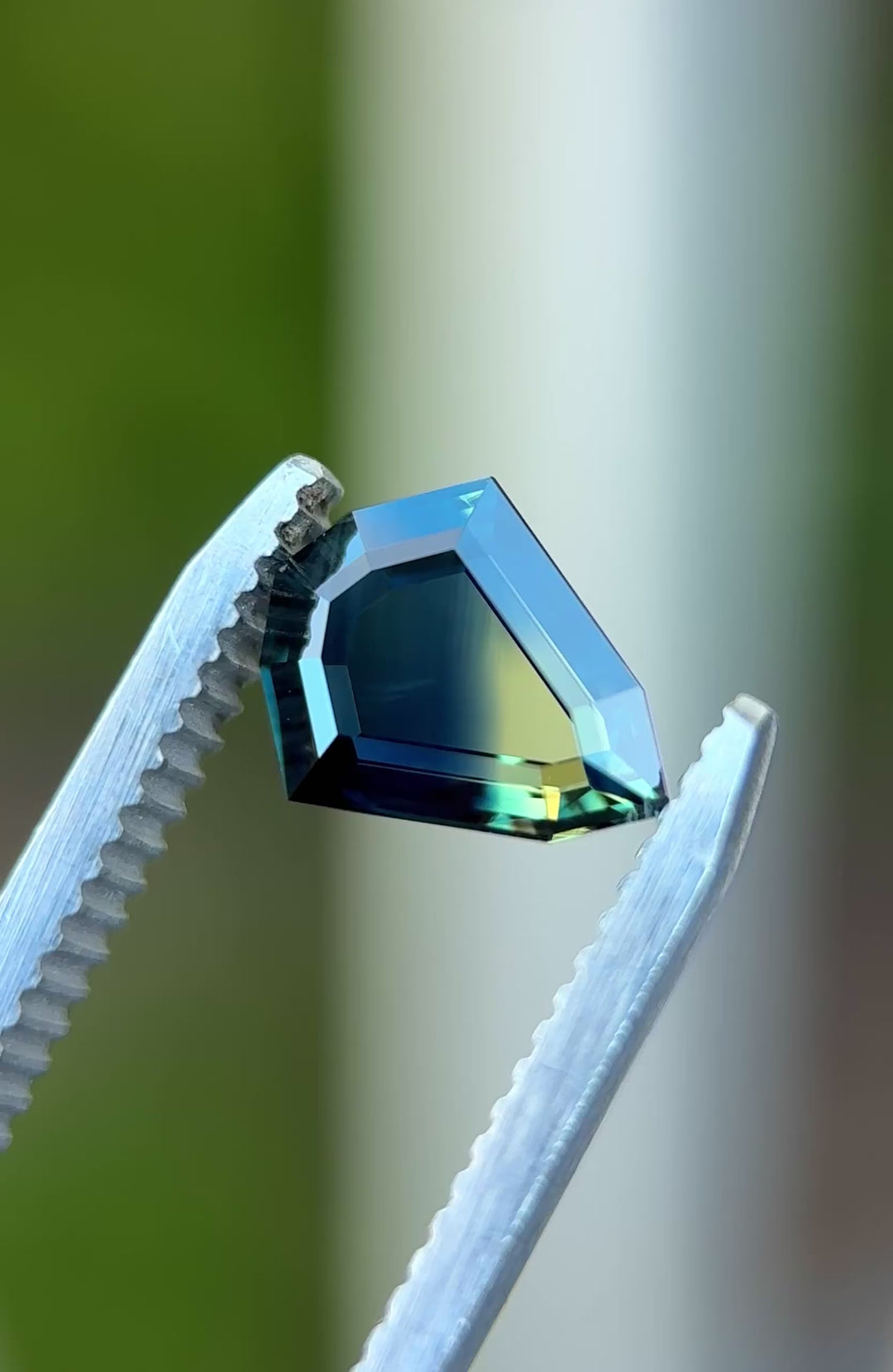 Natural yellow teal blue sapphire turning in tweezers, showcasing transparency, color zoning, and the distinctive shield portrait silhouette.