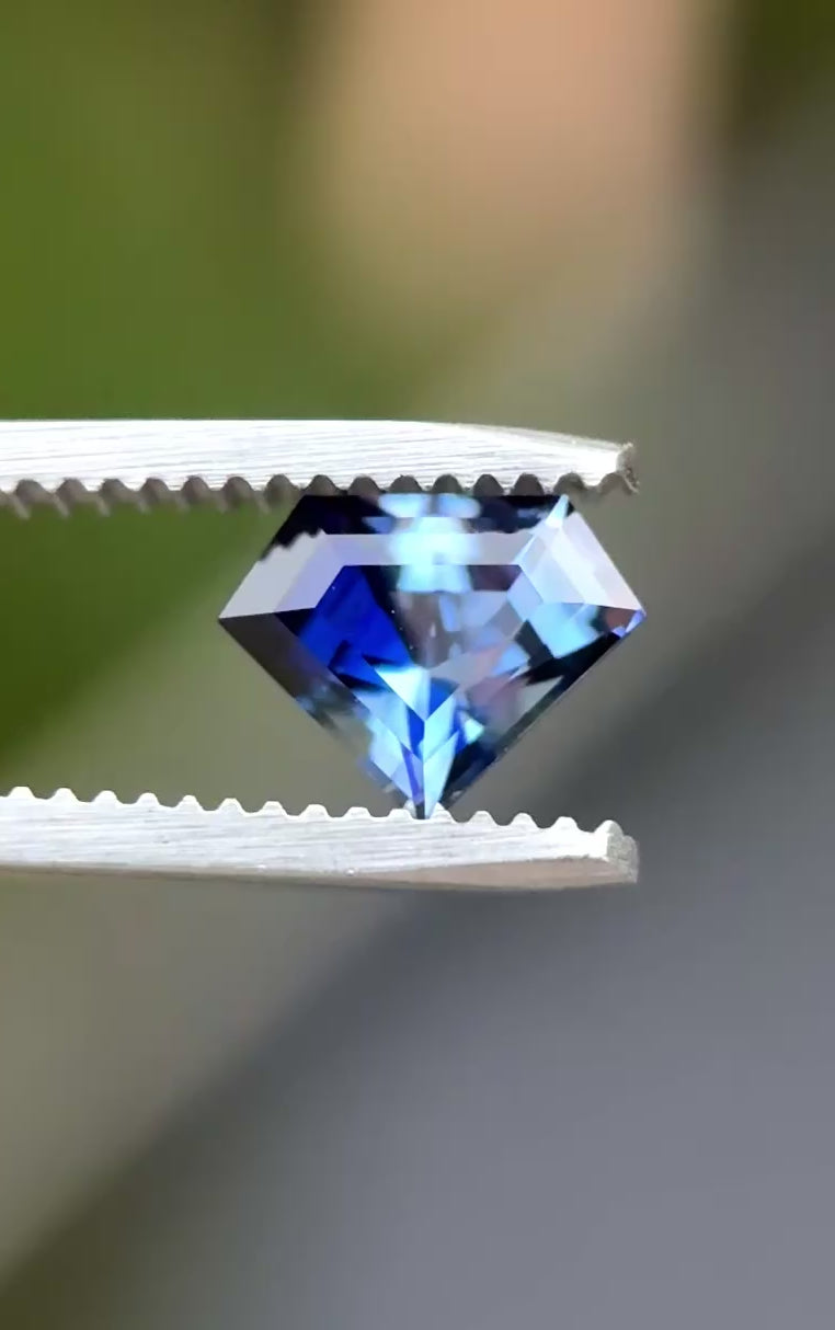 1.60CT Sapphire: Inky Royal Blue-Blue Colorless Parti Shield Step Cut