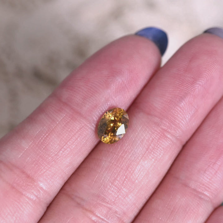 Video of 1.56ct yellow orange Montana sapphire rotating in tweezers showing heated oval mix cut facets and bright golden orange sparkle from El Dorado Bar Deposit