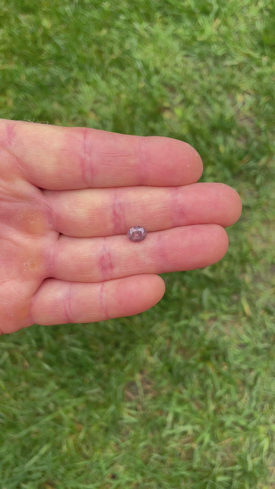 Video showcasing the 1.37ct peach pink mauve sapphire from Umba River, demonstrating its color shift and fluorescence under light