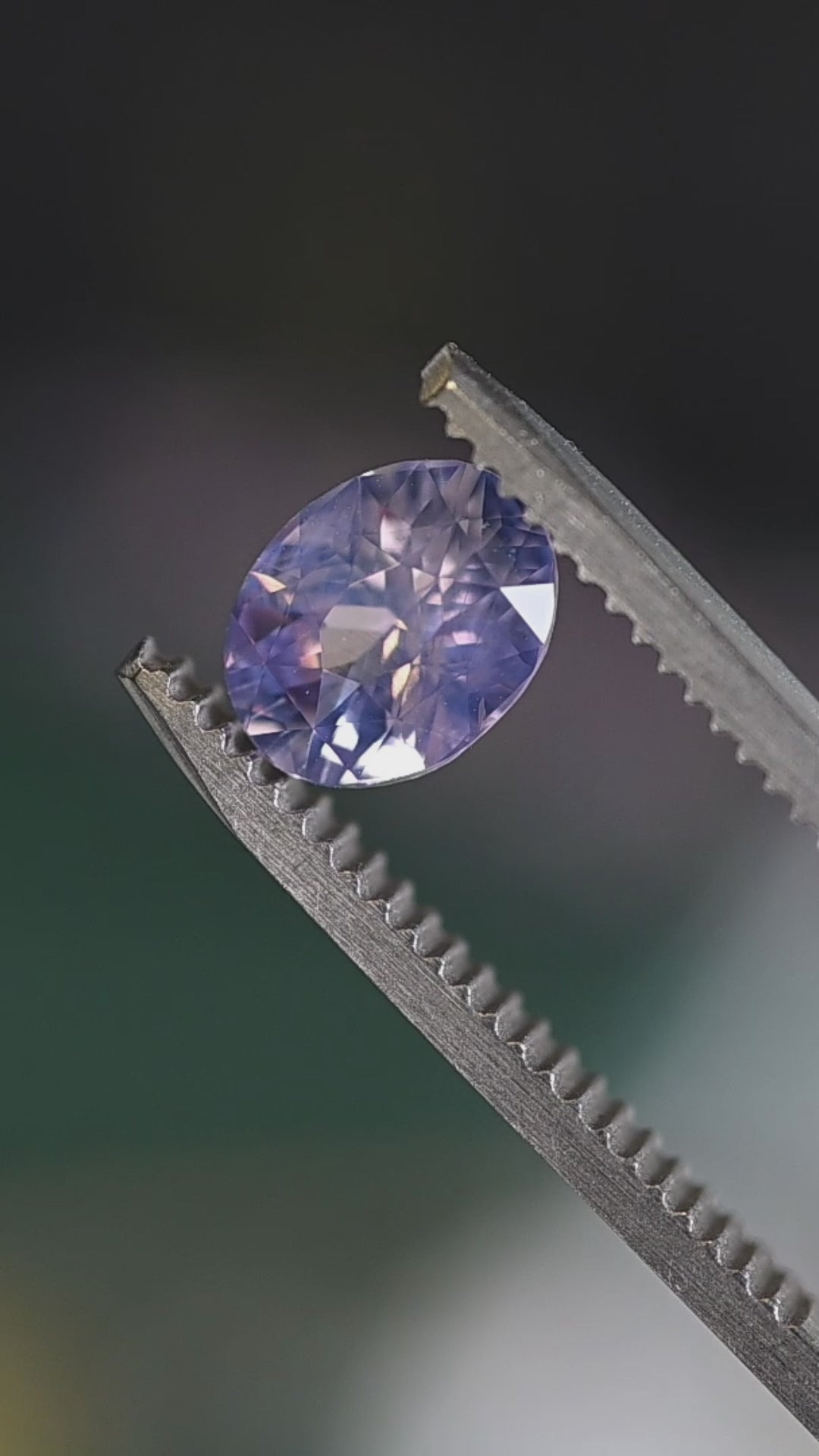 Ratnapura oval mix cut sapphire turning in tweezers under natural light, revealing subtle violet undertones and soft internal glow.