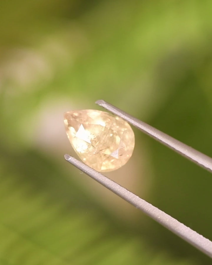 Video of 1.90CT green yellow sapphire rotating in tweezers under natural light, revealing sparkle, depth, and light movement through its modified brilliant pear cut, unheated sapphire from Umba River Valley, Tanzania.