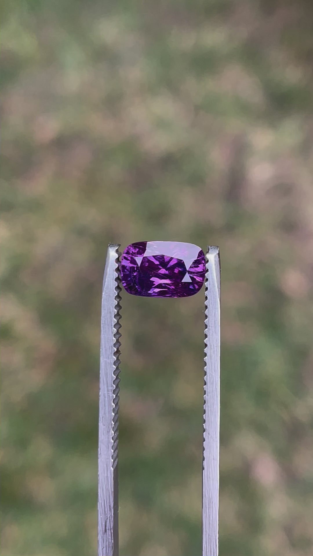 Video of a 1.75-carat pink and mulberry mix cushion cut sapphire, rotating to display its full brilliance, clarity, and vivid color shifts under different angles of light. The untreated gemstone's stunning craftsmanship highlights its origins from Luc Yen, Vietnam.