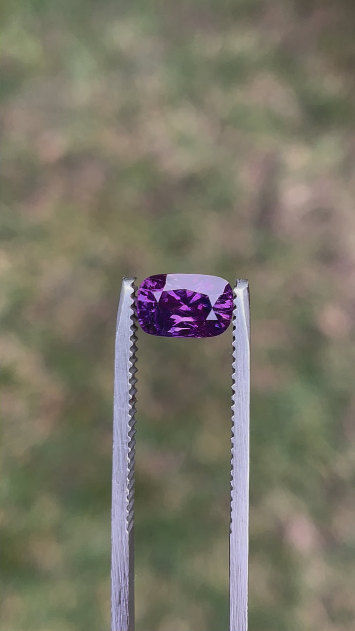 Video of a 1.75-carat pink and mulberry mix cushion cut sapphire, rotating to display its full brilliance, clarity, and vivid color shifts under different angles of light. The untreated gemstone's stunning craftsmanship highlights its origins from Luc Yen, Vietnam.