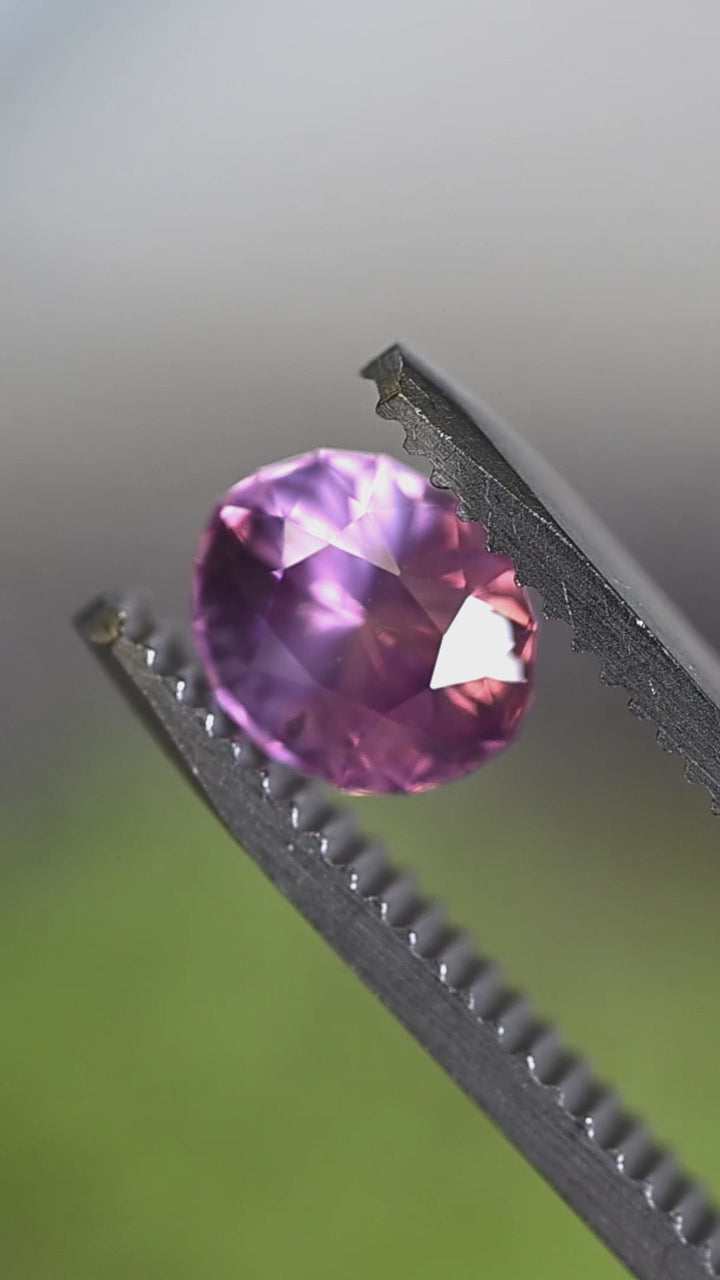 1.61ct unheated Sri Lankan vivid pink sapphire oval mix cut displayed in tweezers showing brilliance and color shift