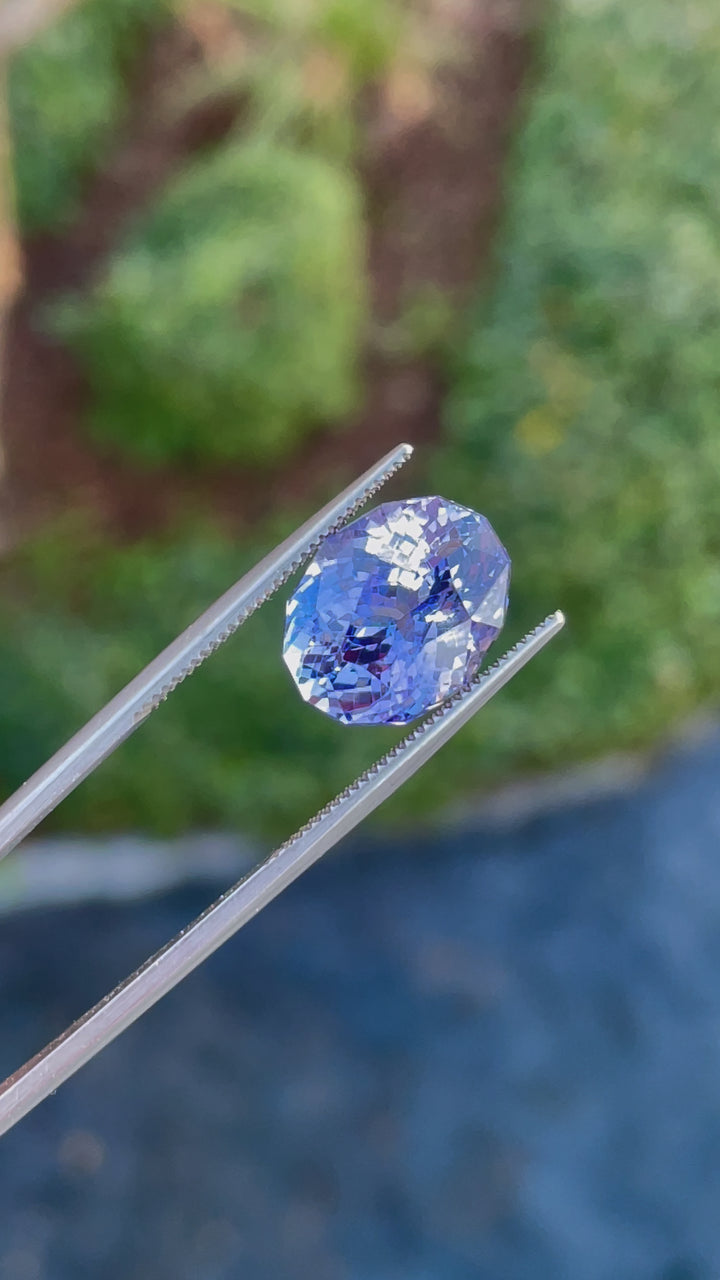 Video of a 9.31-carat tanzanite gemstone in a custom mix cut oval shape, showing its vivid blue and purple hues from various angles.