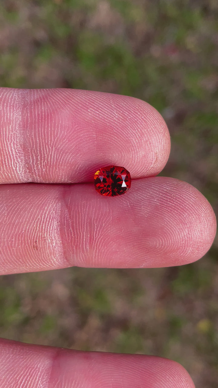 A video displaying the vivid red and orange hues of a 1.68-carat Hessonite Garnet in natural lighting.