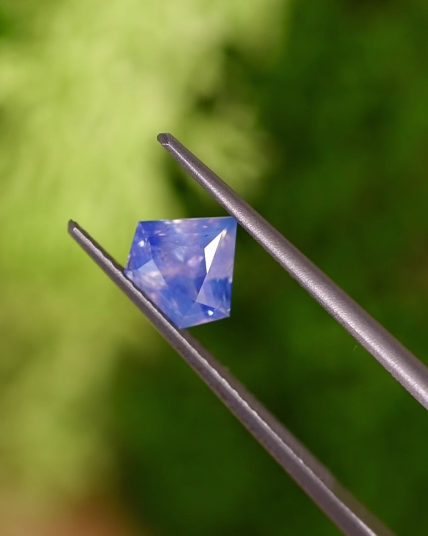 Video of 1.28CT opalescent parti sapphire rotating in tweezers under sunlight, showing its play of white and cornflower blue tones and brilliance of the shield modified brilliant cut, unheated sapphire from Sakaraha, Madagascar
